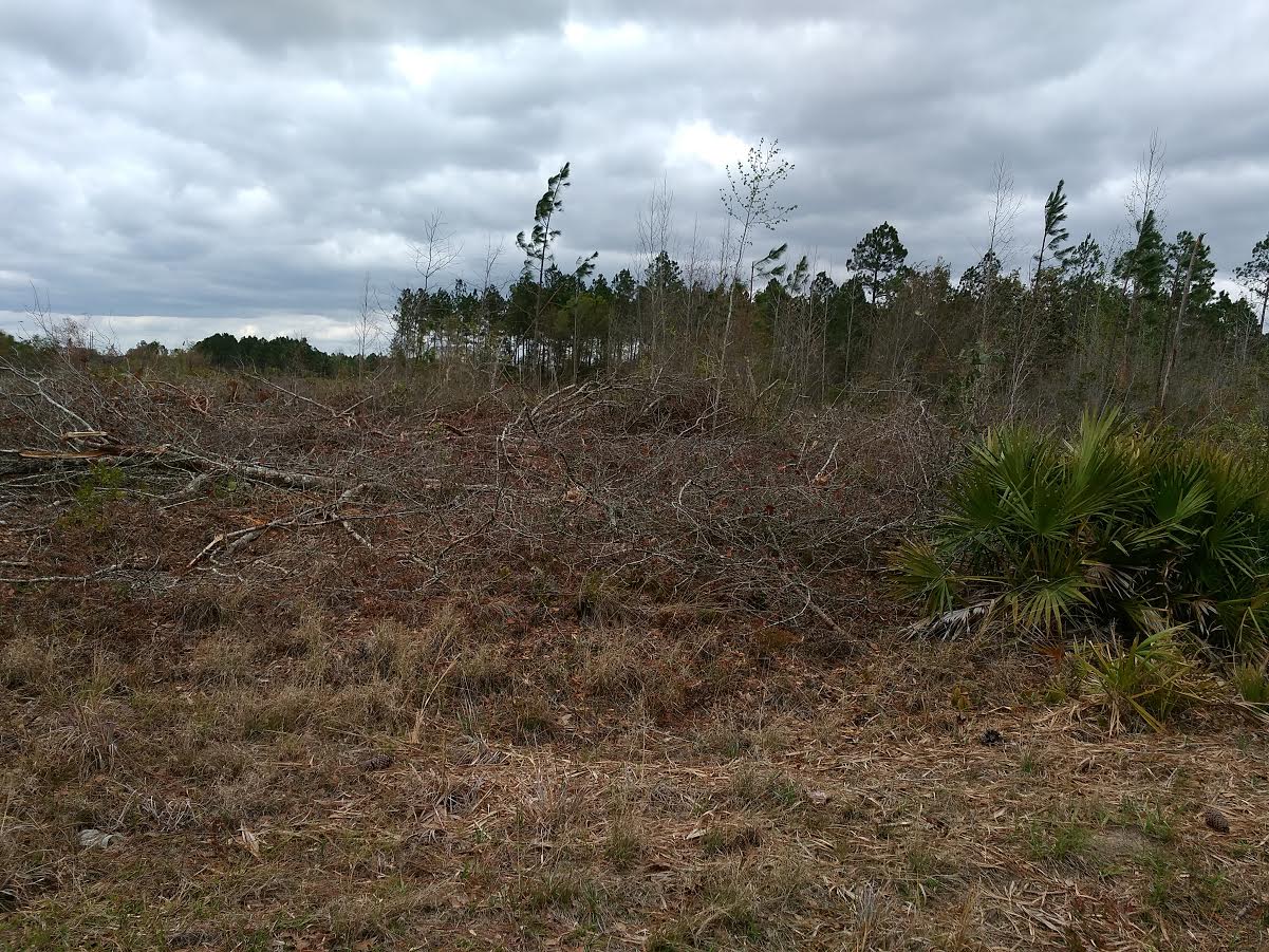 9 Acres, Jeff Davis County